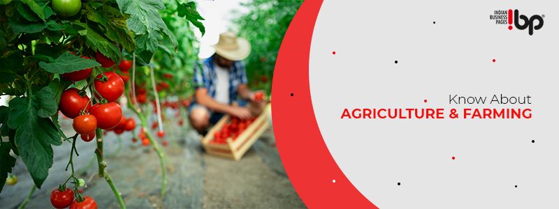 Know about Agriculture and farming