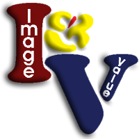 Image & Value Logo