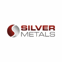 Silver Metal Logo