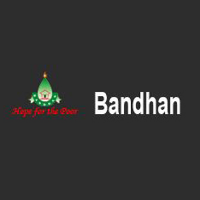 Bandhan Financial Services Pvt. Ltd. Logo