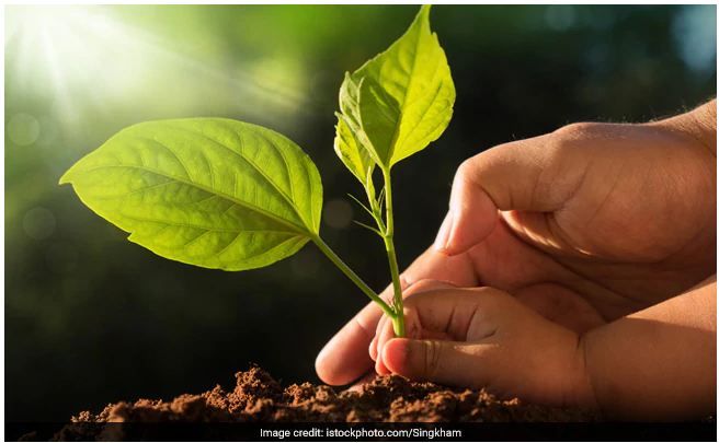 World Soil Day 2019: Facts On Soil Erosion And How We Can Stop It