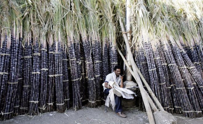 India election 2019: How sugar influences the world''s biggest vote