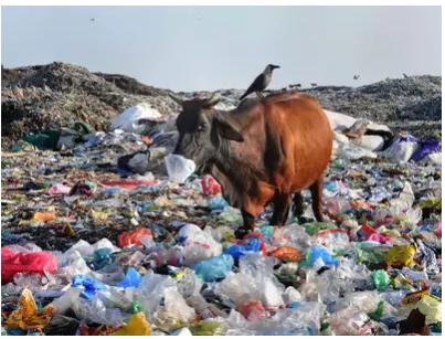 Centre widens import ban of plastic waste