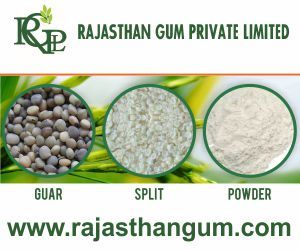 Rajasthan Gum Private Ltd