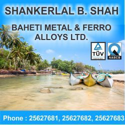 Baheti Metal & Ferro Alloys Ltd